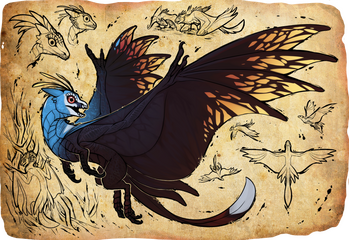 field guide example img